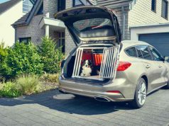 Minden harmadik autós helytelenül szállítja kutyáját a Ford felmérése szerint