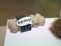 Design Award 2018: a közönségdíjat a Lexus Honest Egg-je vitte el